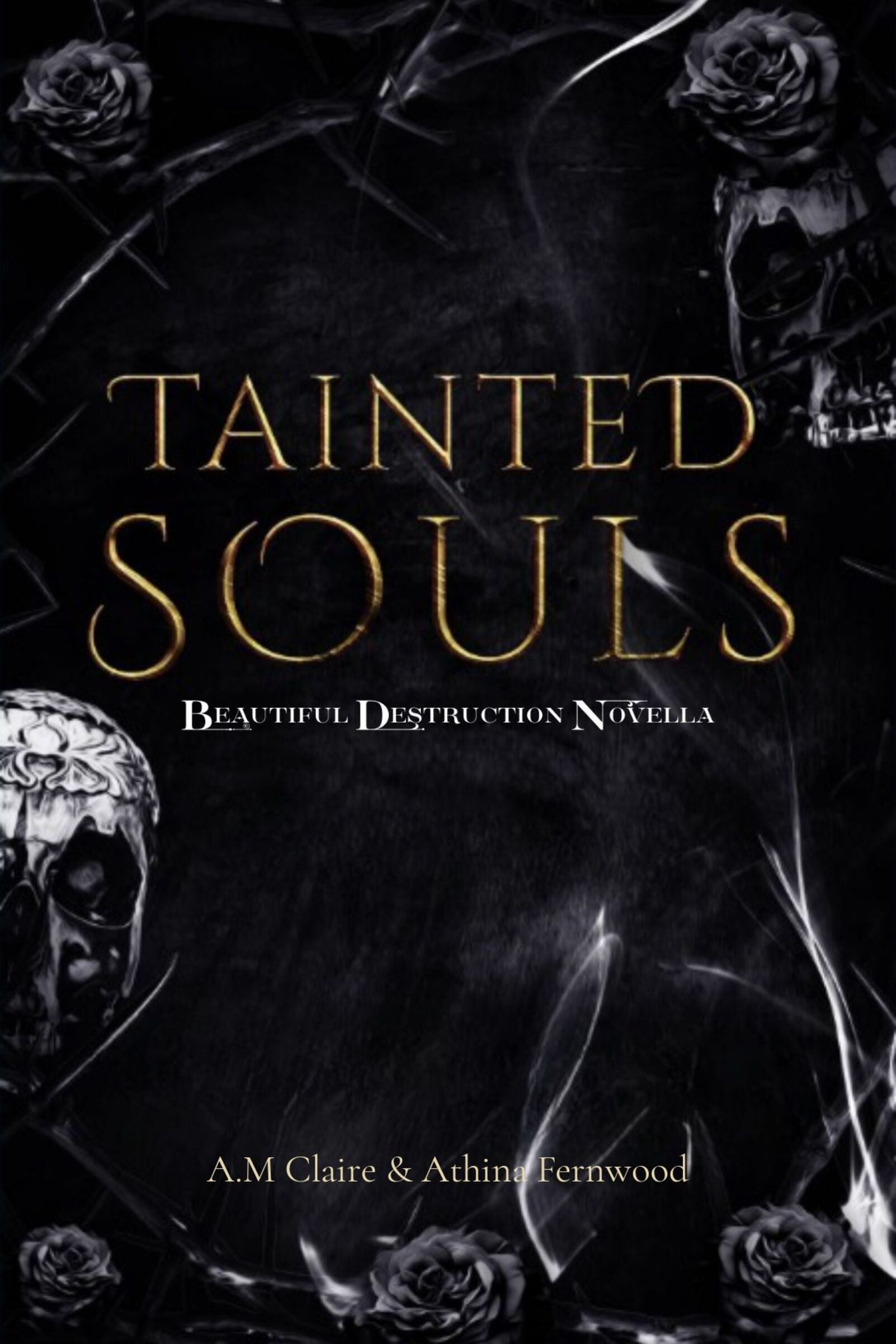 Tainted Souls Novella Beautiful Destruction Series image 0